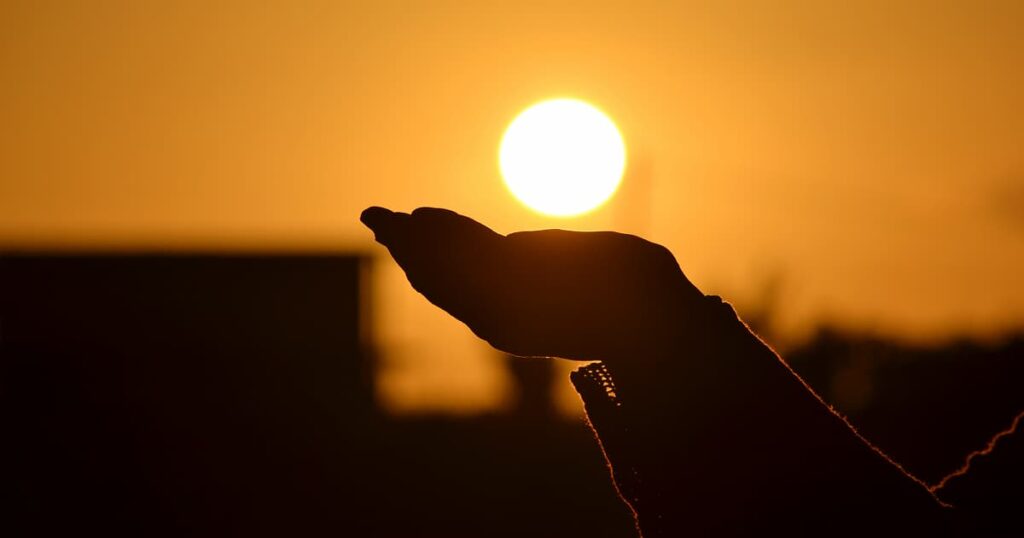 Solar Panels Sunset Image