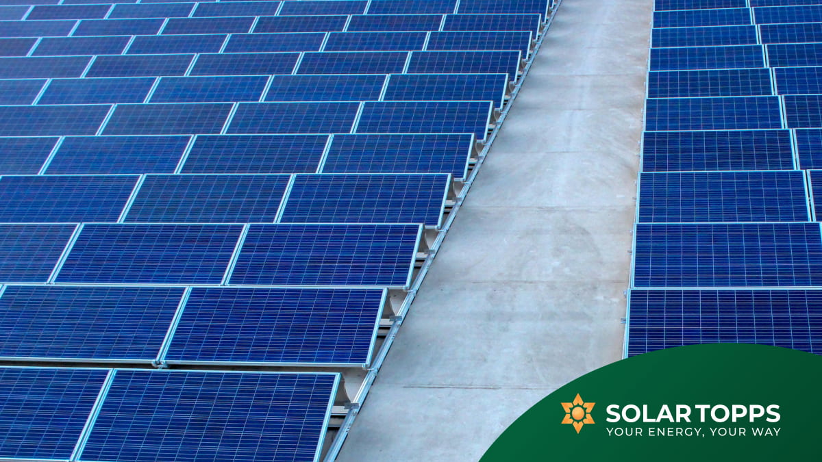 Solar Panel Daily Energy Usage