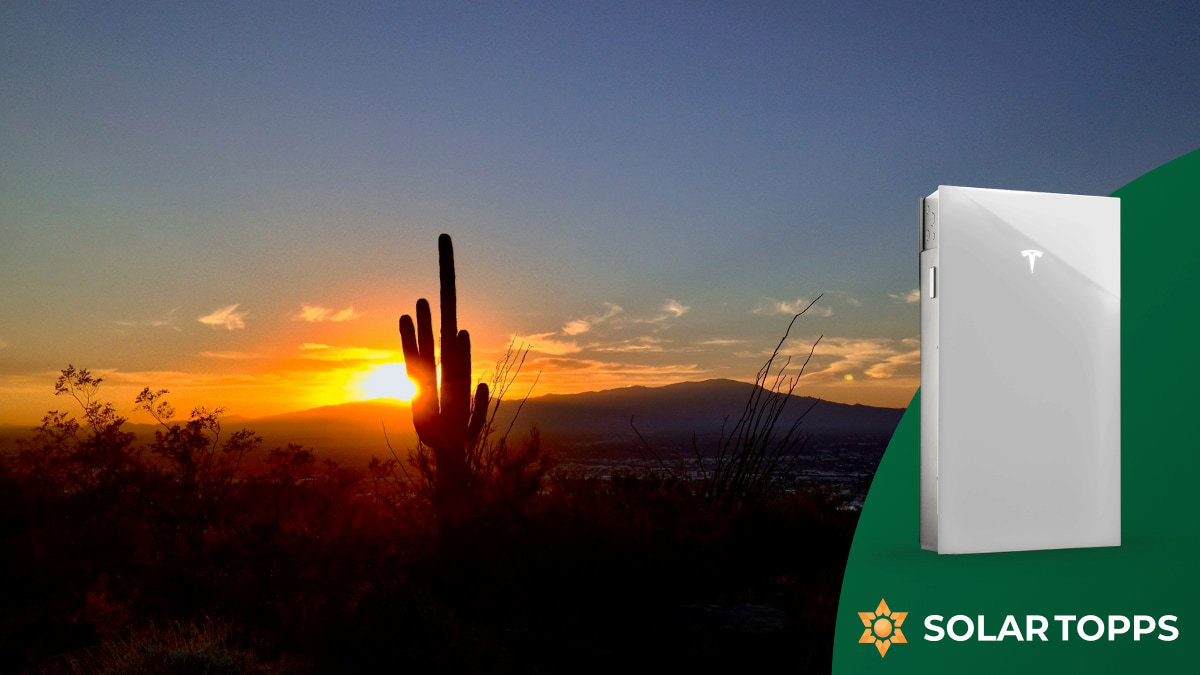 Carefree AZ Natural Beauty Cactus